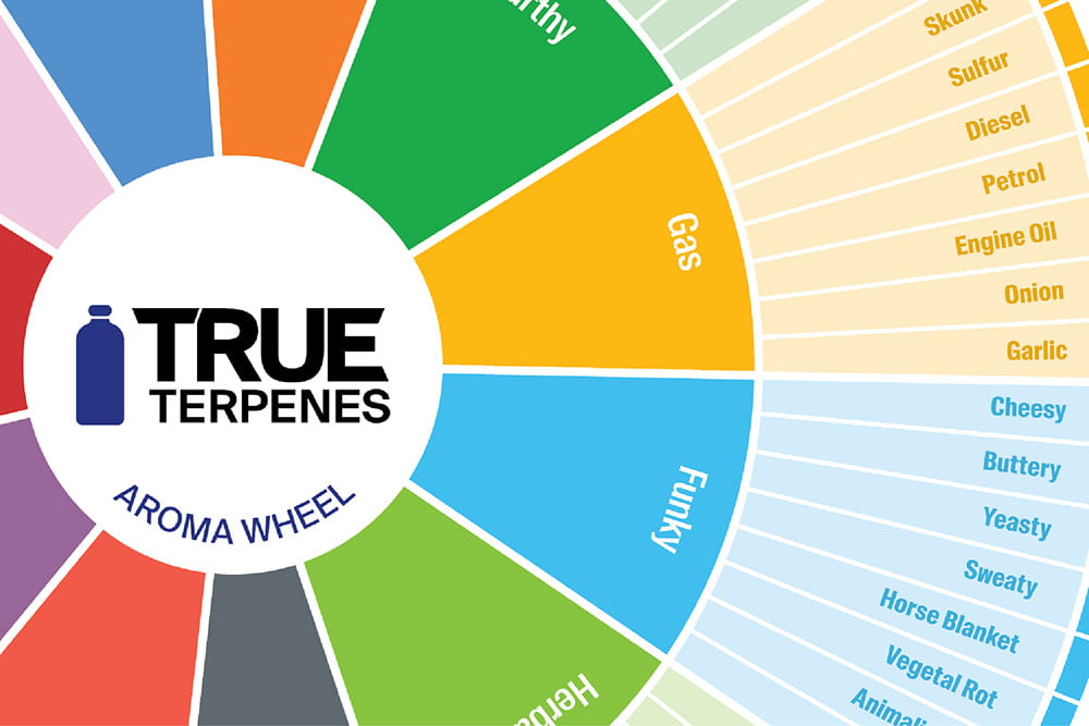 True Terpenes aroma wheel cropped for blog post featured image