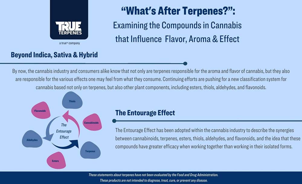 Graphic of how terpenes influence flavor & aroma