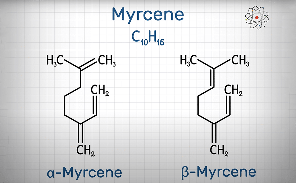 a-Myrcene vs b-Myrcene terpene diagram